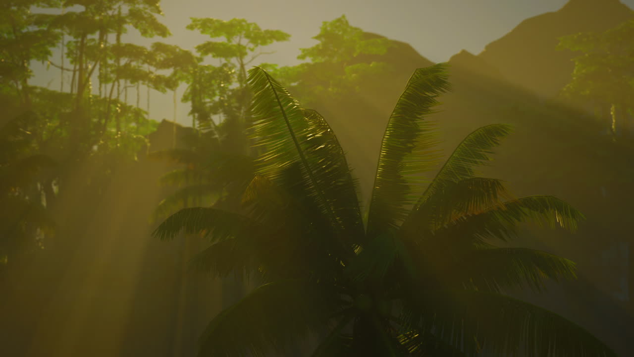 selva tropical con palmeras y rayos de sol