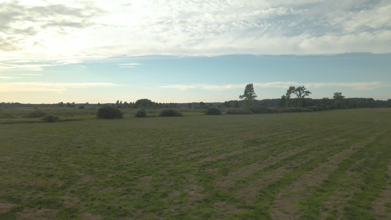 toma aérea ascendente de llanuras verdes en polonia