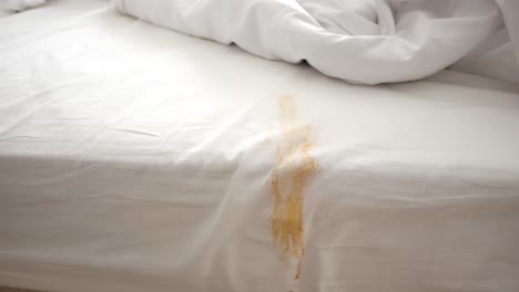 taza de café derramada en la cama