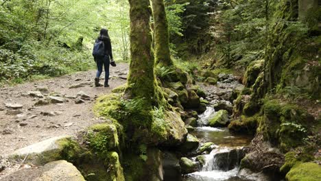 woman hiking on a trail along the stream at the edelfrauengrab waterfalls in the black forest, germany