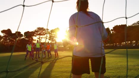 female keeper stopping the ball in goal on soccer field. 4k