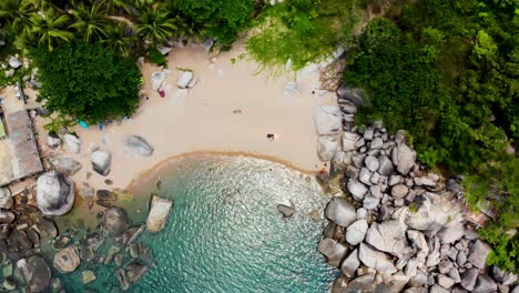 aerial perspective of secluded beach and snorkeling area, ao hin wong, koh tao, thailand