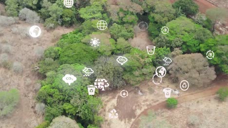 drone flying in farms in kilimanjaro slopes- green kenya farms, poor settlement africa aerial agronomic plantation