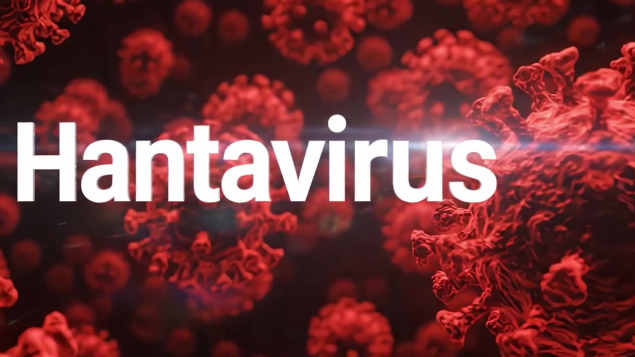 Understanding Hantavirus: Exploring its Structure, Transmission, and Prevention in a Visual Context with Microscopic Imagery Showcasing Viral Particles