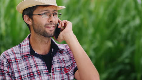 a successful young farmer is on the phone in a corn field