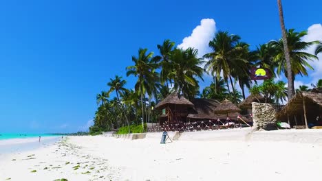Muy-Hermosa-Playa-Tropical-De-Arena-Blanca-Con-Cocoteros-Y-Casa-De-Paja-En-La-Isla-De-Zanzibar
