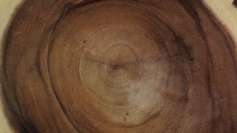 wooden circle stump trunk background from top. saw cross section cut tree wood rotation.