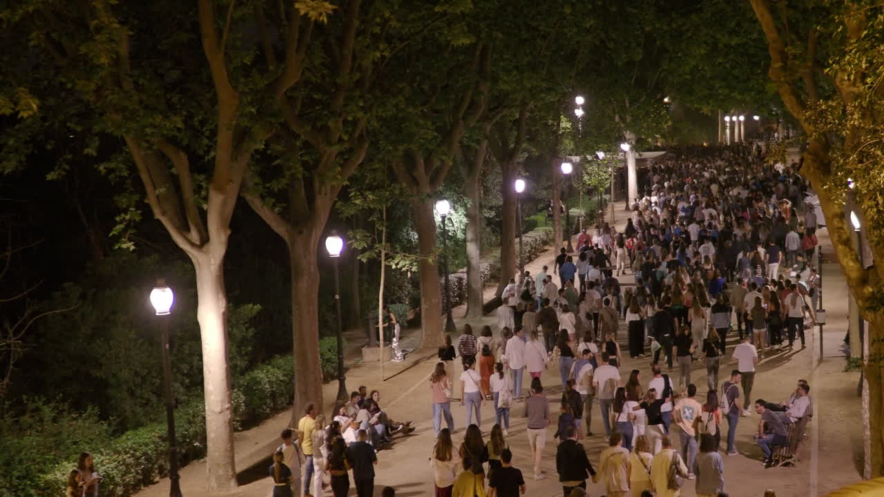 gran multitud de personas caminando por un camino bordeado de árboles por la noche