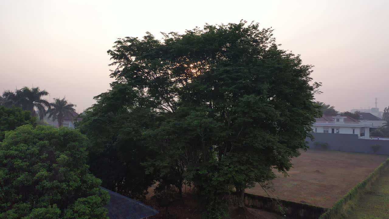 Sunrise over Foggy Suburbs