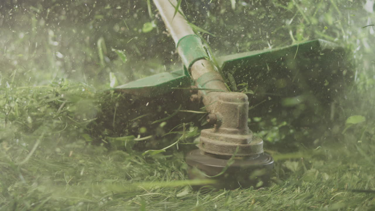 잔디를 는 잔디기 의 근접 사진