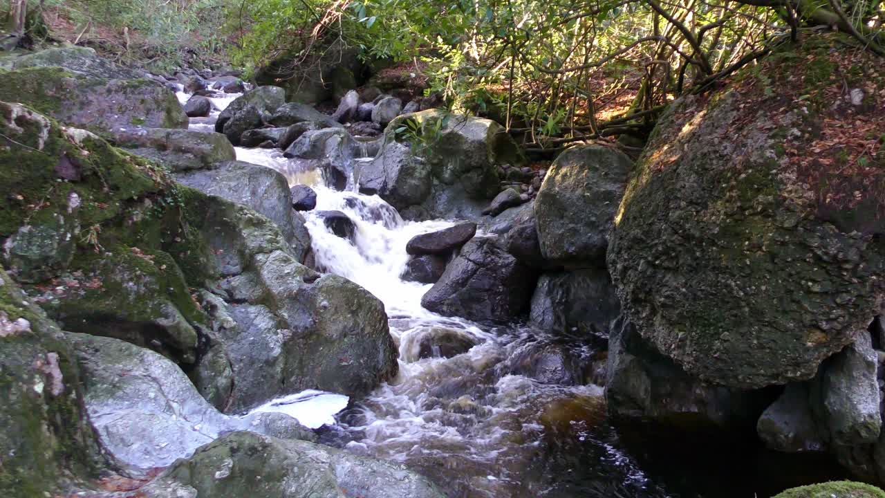 The Mountain stream fast flowing stream over rocks and big boulders in winter sunshine Waterford Ireland