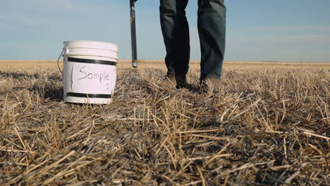 Agronomist-takes-soil-sample-from-the-ground-for-analysis,-medium-shot