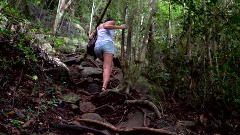 una mujer sube a una montaña a través de las raíces de un árbol