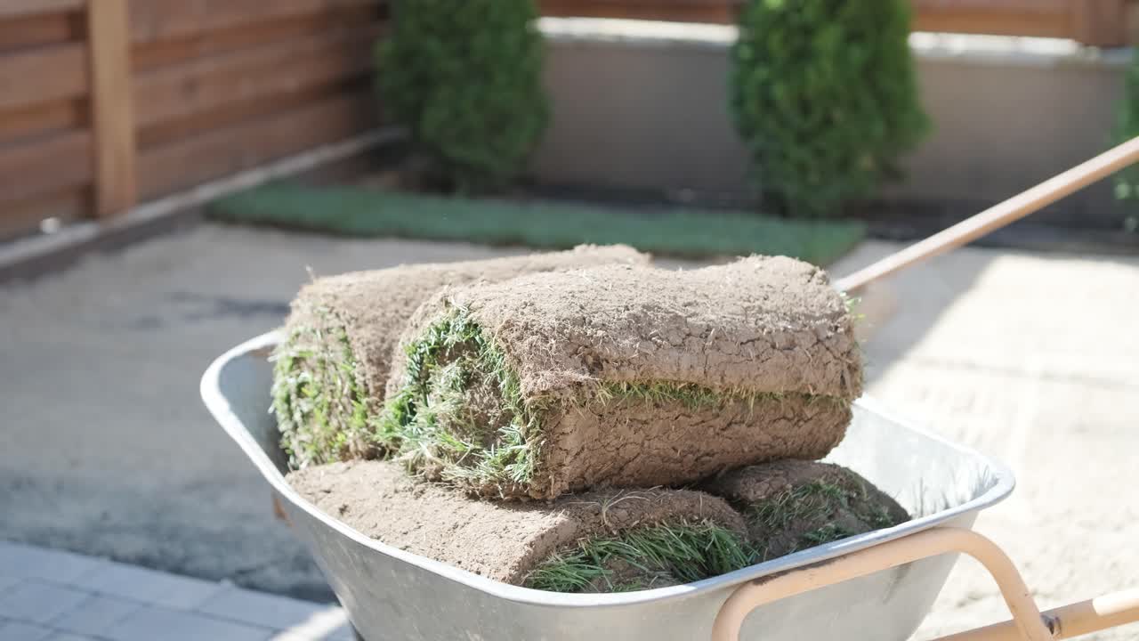 садовник выкладывает газон в частном дворе с деревянным забором