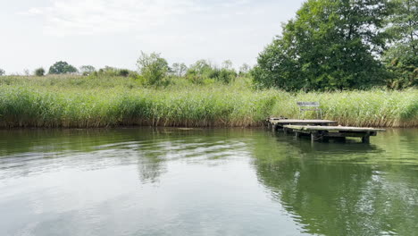 peaceful water of a lake with grass reflections in daytime