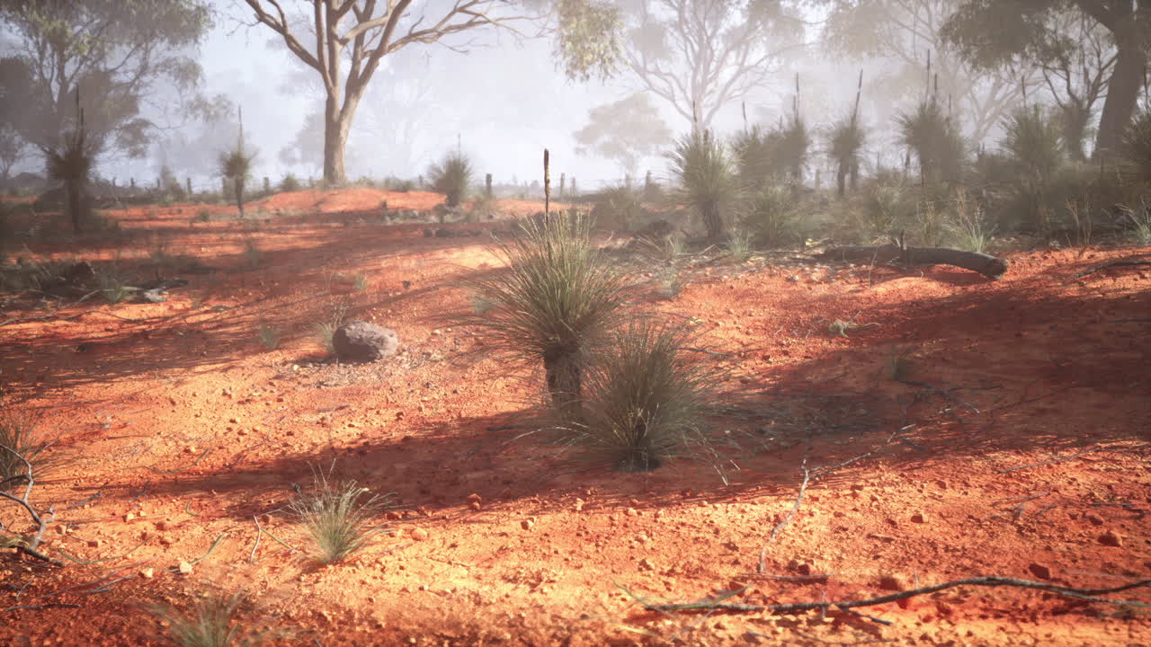 paisaje nebuloso del interior de australia