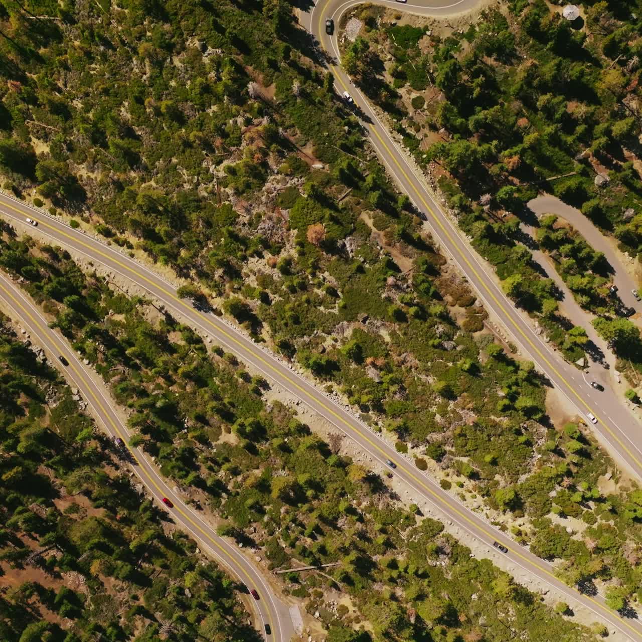 Summer forest road landscapes. Mountain road crosiing the wood