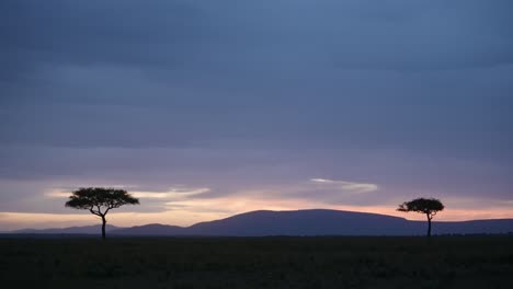 beautiful night time landscape of africa savanna and acacia trees in masai mara in kenya, dark blue moody dramatic stormy african sky at nighttime in rainy season, background with copy space