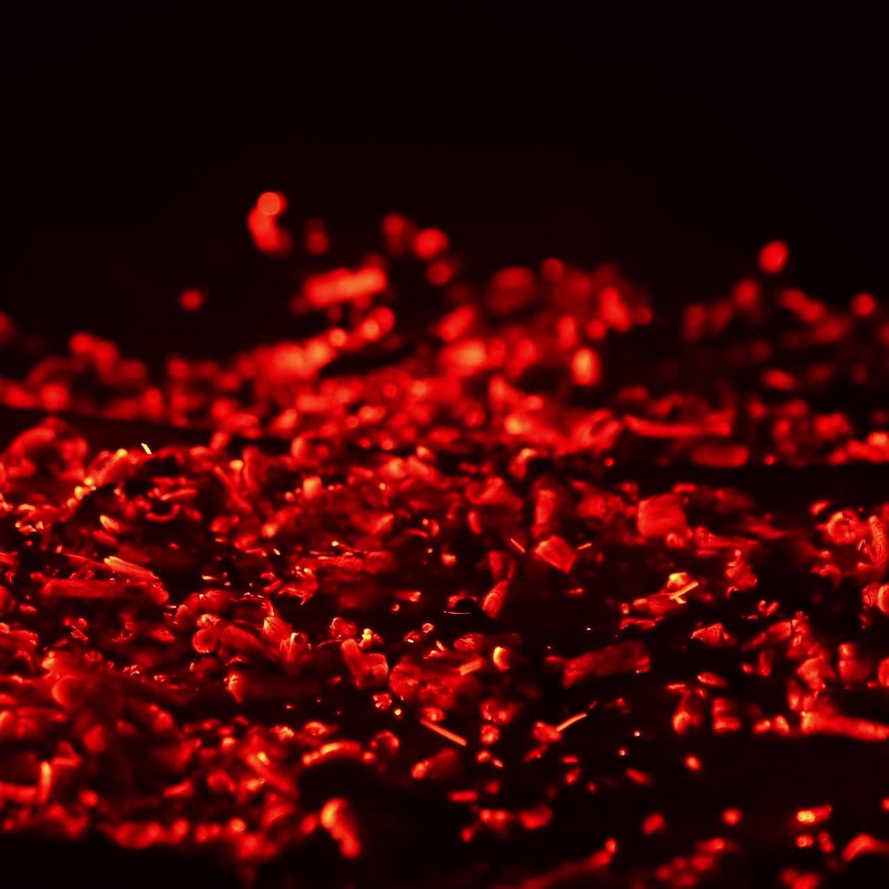 Shimmering red light appearing in the smoldering embers. Campfire burnt out and the hot pieces of charcoal flashing. Close up. Black backdrop
