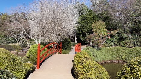 pan a la izquierda del puente rojo al estanque, ju raku en jardín japonés, toowoomba australia