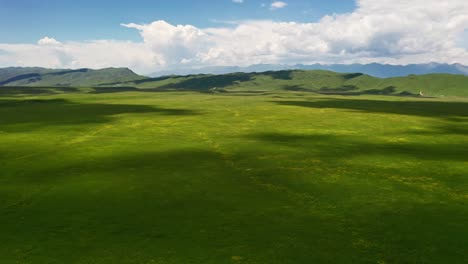 nalati grassland with the blue sky.