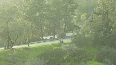 cars-travel-up-sunny-canyon-road