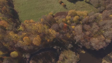 The-Shores-of-the-Winding-River-Overgrown-with-Multicolored-Trees-on-a-Sunny-Autumn-Day