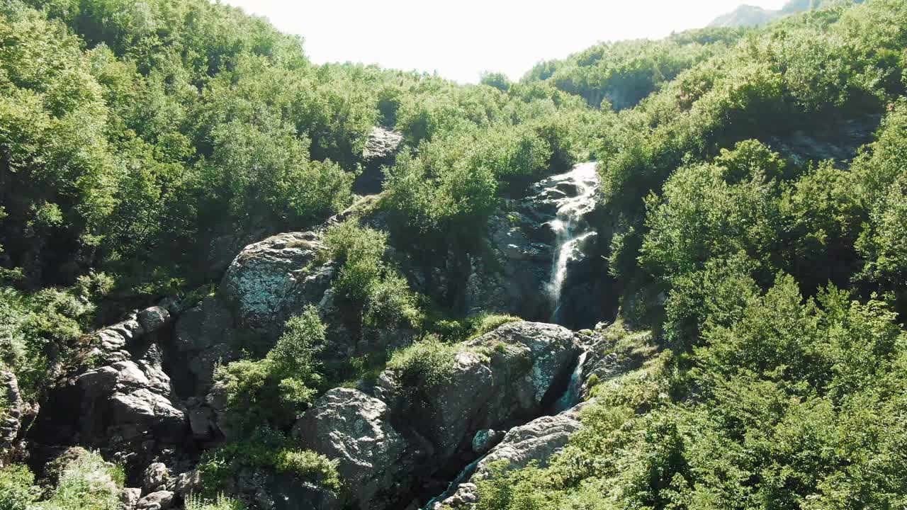 울창 한 숲 에 있는 산 의 폭포