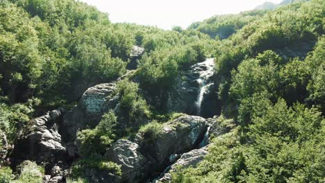 mountain waterfall in a lush forest