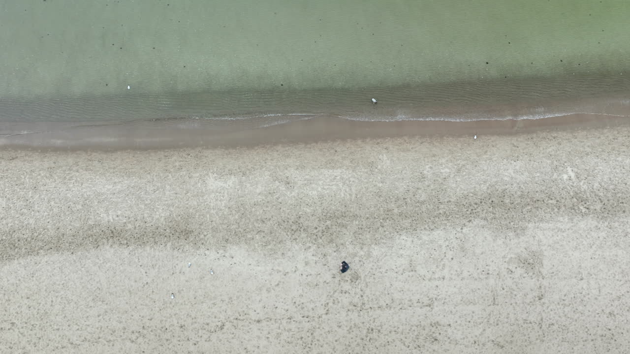 Minimalist top-down aerial shot of sandy beach and gentle sea waves with one person walking along the edge