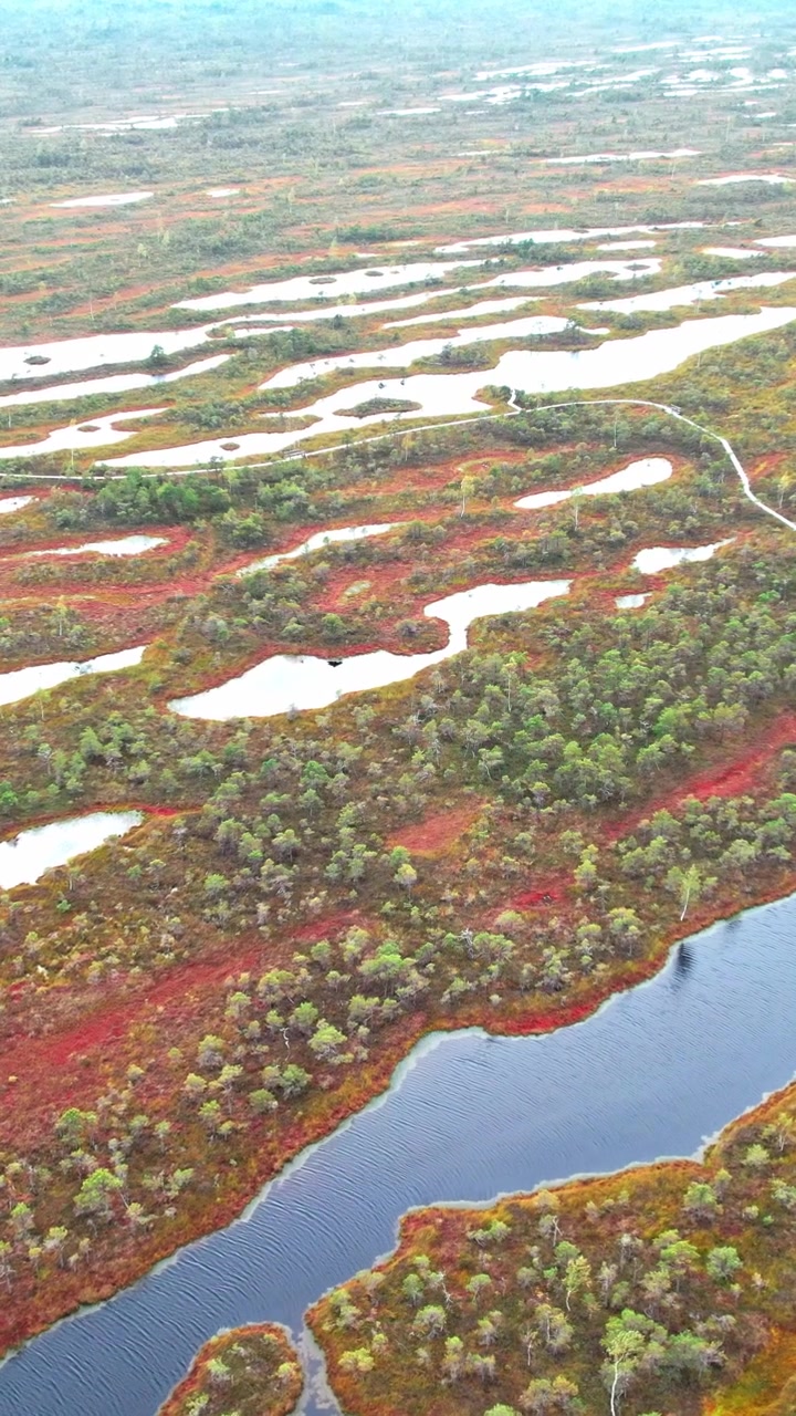 Esplora il paesaggio unico della palude di Ķemeri in Lettonia dall'alto