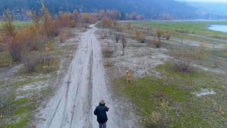 Hombre-Jugando-Con-Su-Perro-En-Un-Camino-De-Tierra-4k