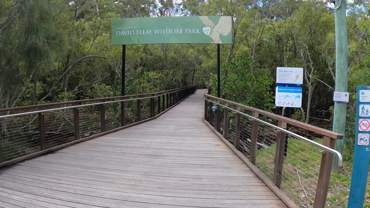 прогрессивная прогулка по спокойной лесной набережной