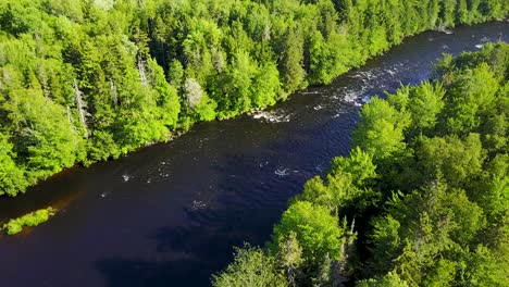 Río-Con-Rápidos-En-Maine-Con-árboles-De-Hoja-Perenne-A-Ambos-Lados-Del-Río