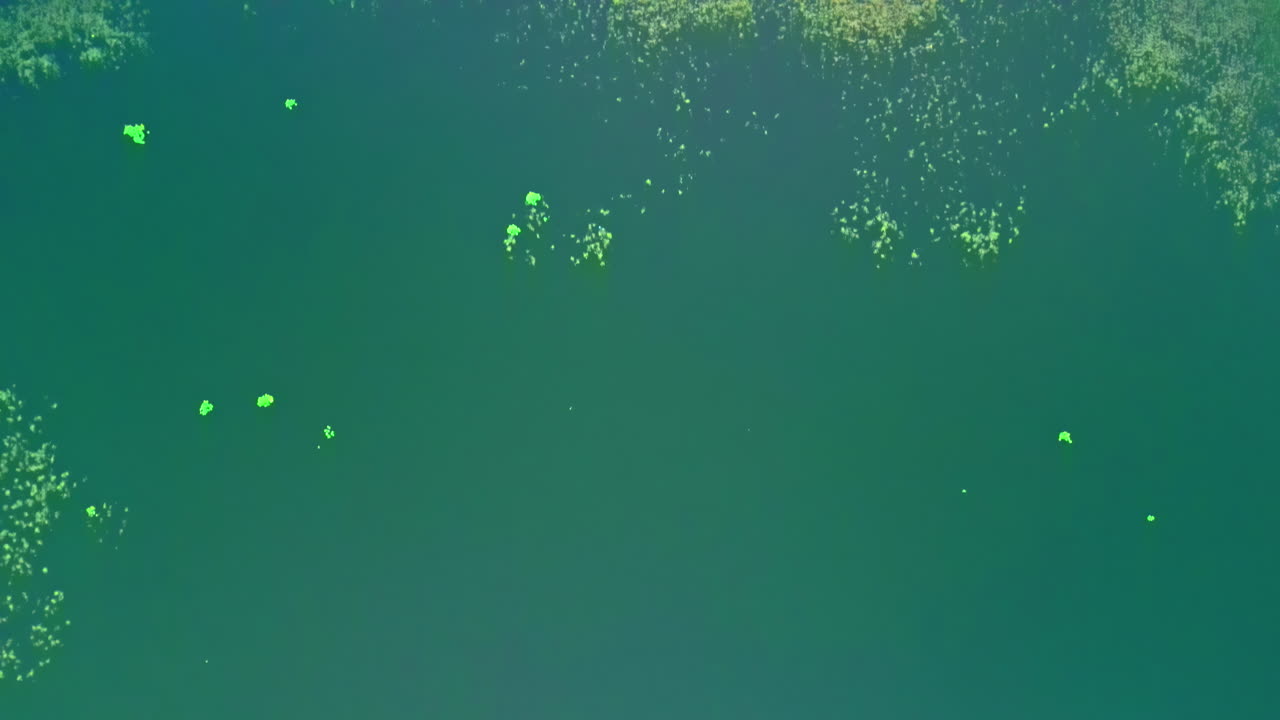 호수 와 인근 에 캠핑 하는 사람 들 의 공중 전망 이 곧바로 내려오고 있다