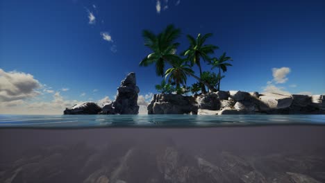 agua fangosa marrón y palmeras en la isla