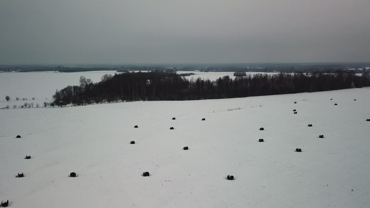 백그라운드에서 숲과 눈 덮인 필드에 건초 bales
