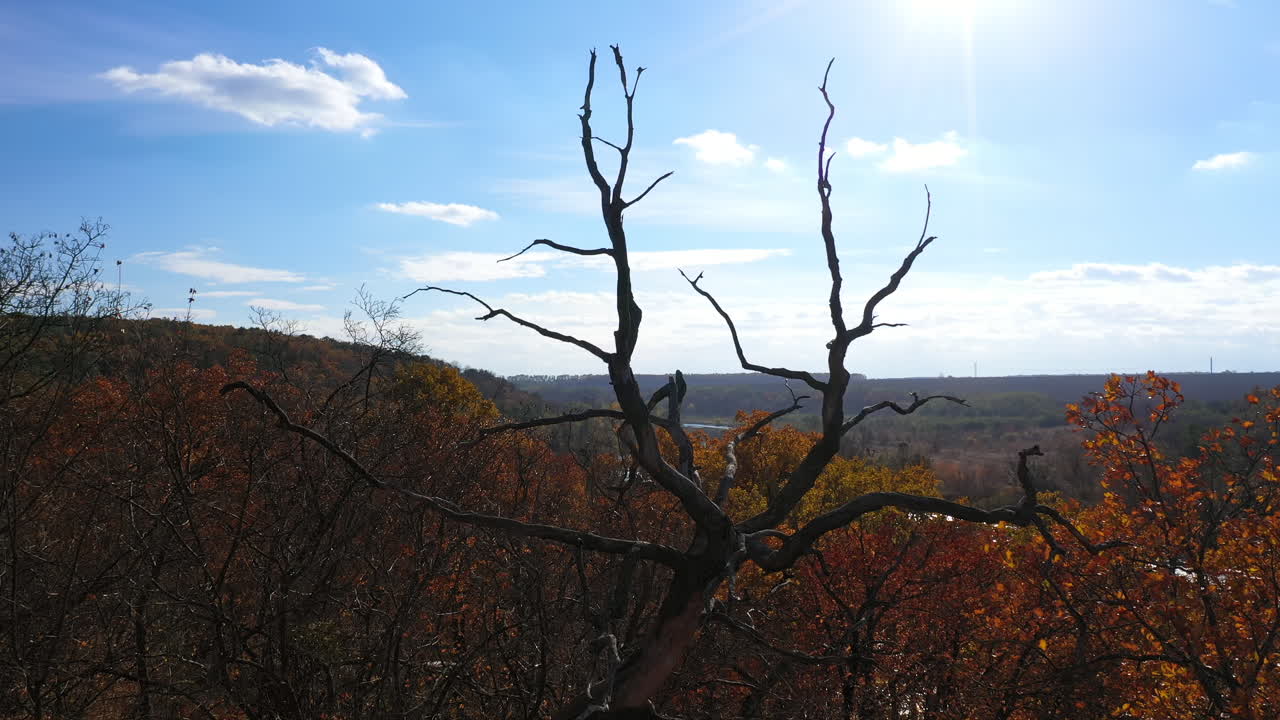 Motion camera view of the forest on the background of a quiet river at sunset in the summer. Aerial view