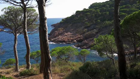 vista de la costa tiro de paralaje entre ramas