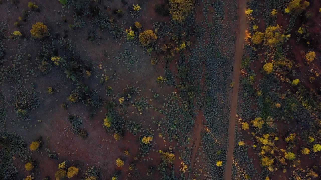 Sunset over the Central Australian Outback. Cinematic top down shot moving forwards, over roads, dry creeks and local flora. Filmed on a DJI Mavic Pro on a Camel Farm near Alice Springs.