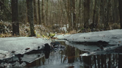 Woman-with-black-high-heels-boots-stepping-over-small-puddle-in-forest