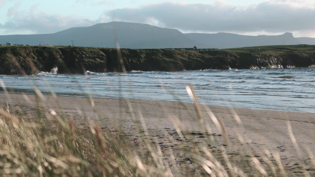 The shoreline of a serene beach in County Donegal features gentle waves lapping at the sand, surrounded by lush grass and a stunning mountain backdrop on a bright day.
