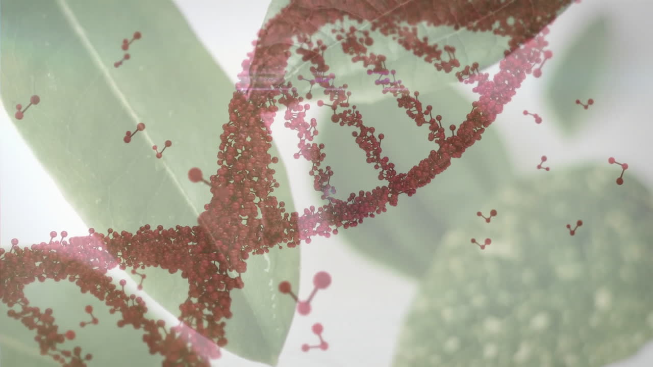 Intertwined DNA strand with green leaves represents nature and science connection