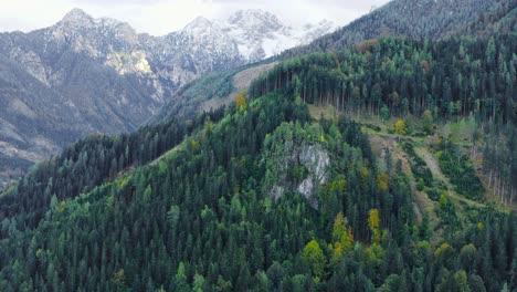 Unwirklich-Faszinierende-Immergrüne-Kiefernwälder-Von-Eisenkappel-Vellach-österreich