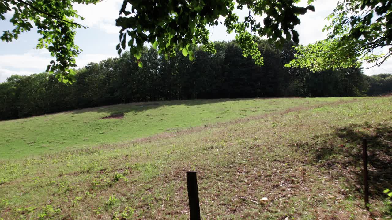 덴마크 스냅툰 근처 톤발레 숲의 공중 포획