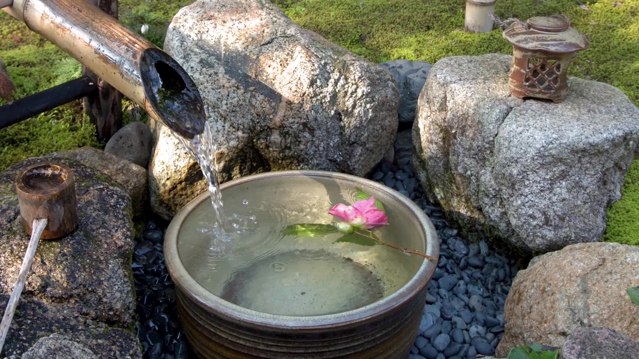 El agua fluye de un caño de bambú a un cuenco de piedra en un tranquilo jardín japonés.