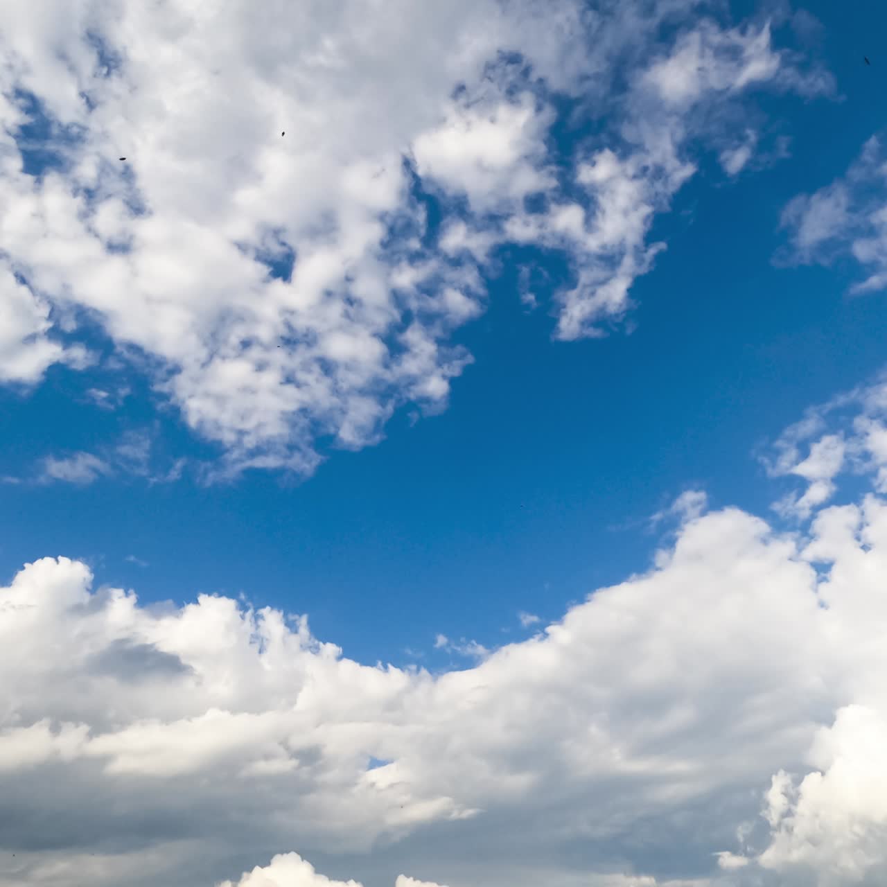 Heavenly beautiful cloudscape moving in the air. Fluffy white clouds in the rays of bright sun. Low angle timelapse