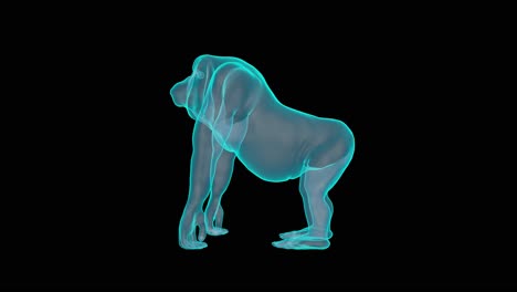 renderizado de un tocadiscos holográfico de gorila