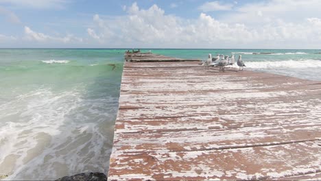 Bewegung-über-Einen-Exotischen-Pier-Am-Paradise-Beach