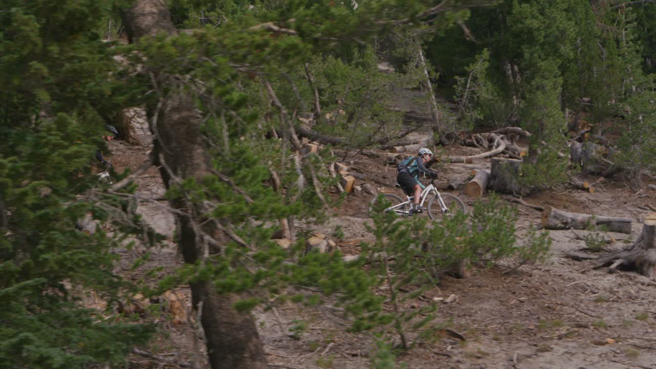 兩個山地單車手騎過森林